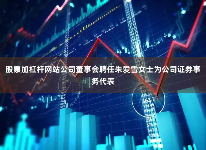 股票加杠杆网站公司董事会聘任朱爱雪女士为公司证券事务代表